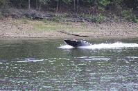 IMG_9776.JPG