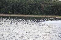 IMG_9793.JPG