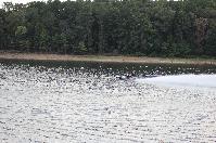 IMG_9794.JPG