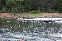 IMG_9800.JPG