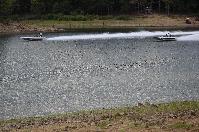 IMG_9823.JPG