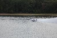 IMG_9829.JPG