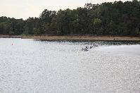IMG_9830.JPG