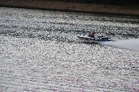 IMG_9851.JPG