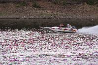IMG_9874.JPG