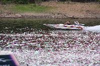 IMG_9875.JPG