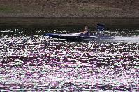 IMG_9887.JPG