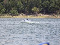 IMG_8444.jpg