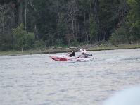 IMG_8497.jpg