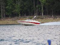 IMG_8546.jpg