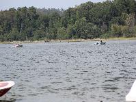 IMG_8585.jpg