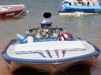 IMG_8640.jpg