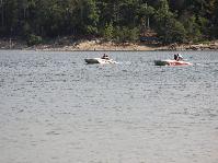 IMG_8647.jpg