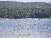 IMG_8729.jpg