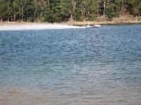 IMG_8784.jpg