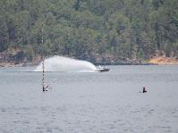 IMG_8355.jpg