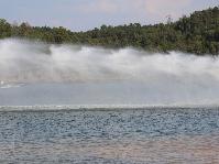 IMG_8790.jpg