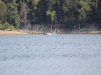 IMG_8791.jpg
