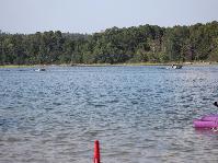 IMG_8823.jpg