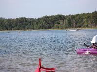 IMG_8828.jpg