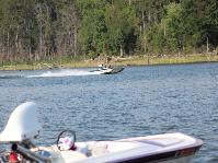 IMG_8831.jpg