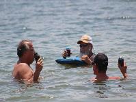 IMG_8392.jpg