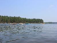 IMG_0831.jpg