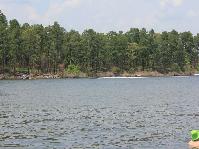 IMG_0940.jpg