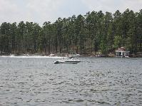 IMG_0995.jpg
