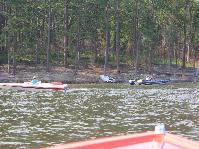 IMG_1029.jpg