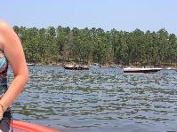 IMG_0850.jpg