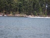 IMG_2873.jpg