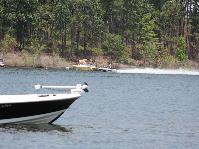 IMG_2922.jpg
