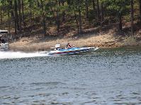 IMG_2954.jpg