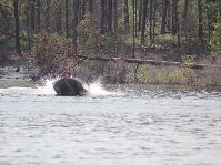 IMG_3727.jpg