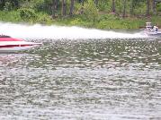 IMG_1614.jpg