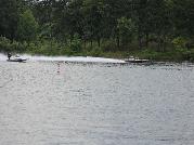 IMG_1699.jpg