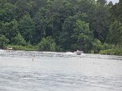 IMG_1935.jpg