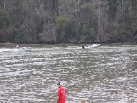 IMG_1046.jpg