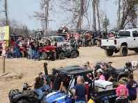IMG_1310.jpg