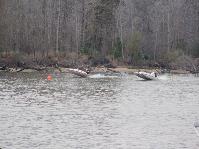 IMG_1332.jpg