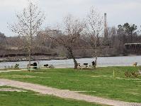 IMG_0782.jpg
