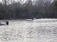 IMG_1531.jpg