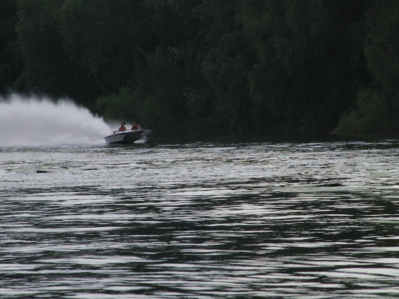 IMGP1054.jpg