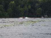 IMGP1030.jpg