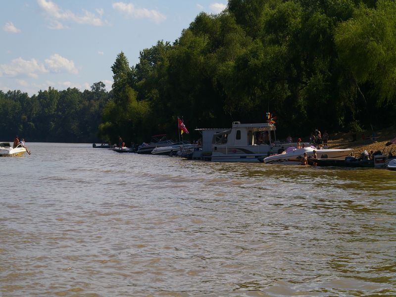 IMGP5226.jpg