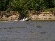 IMGP5090.jpg
