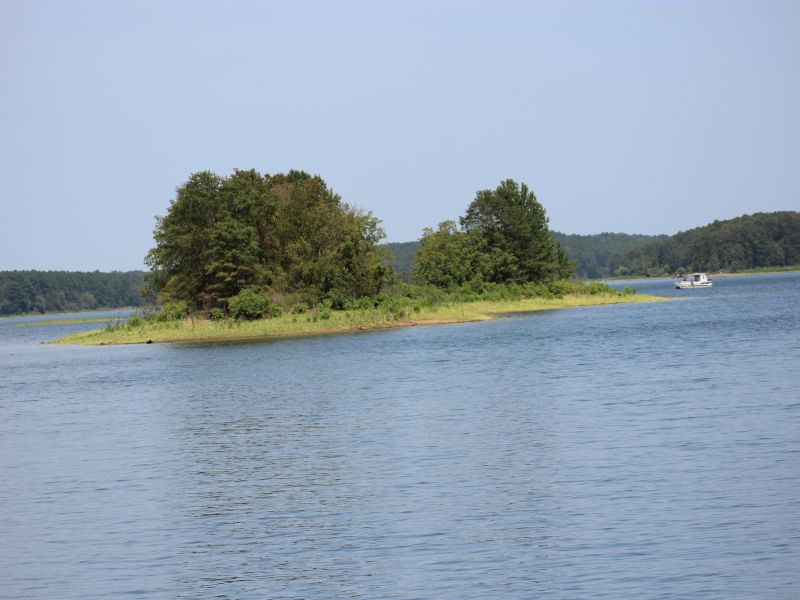 IMG_6126.jpg