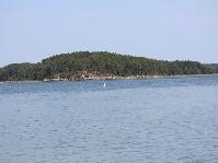 IMG_6122.jpg