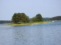 IMG_6126.jpg